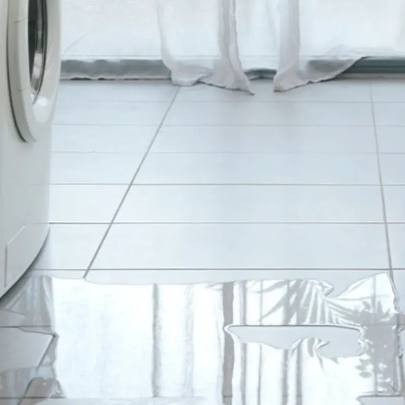 Appliance Leak Cleanup in Clear Lake, SD