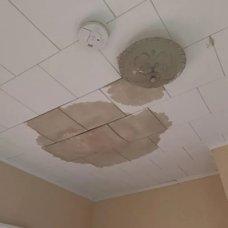 Ceiling Water Damage Repair in Clear Lake, SD