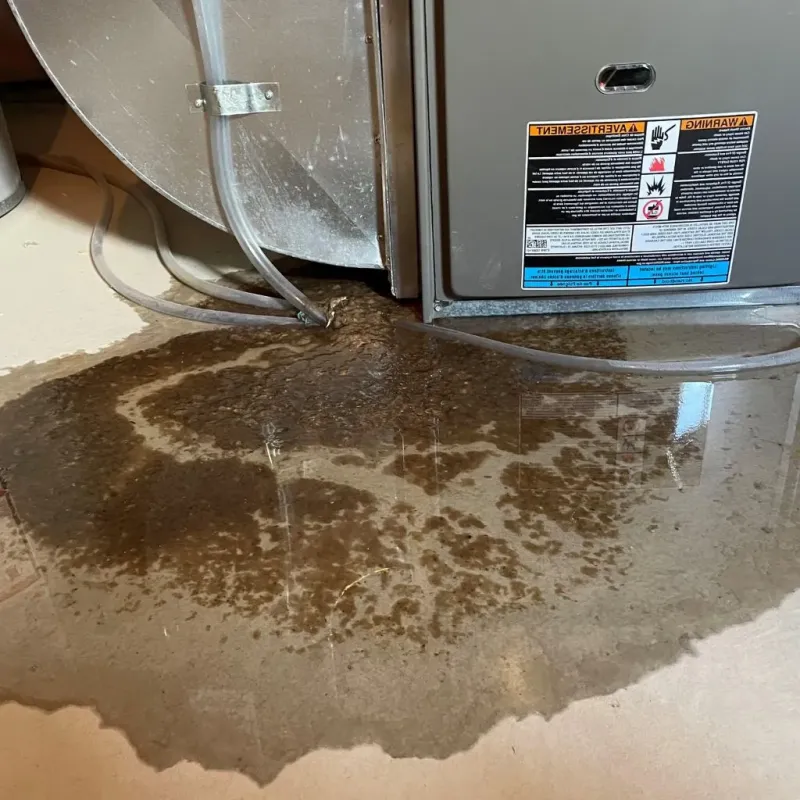 Pipe Burst and Leak Restoration in Clear Lake, SD